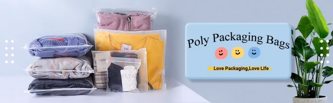 Clear Package Bag T-Shirt Transparent Frosted Plastic packaging Bags with Zip Lock Used for Underwear
