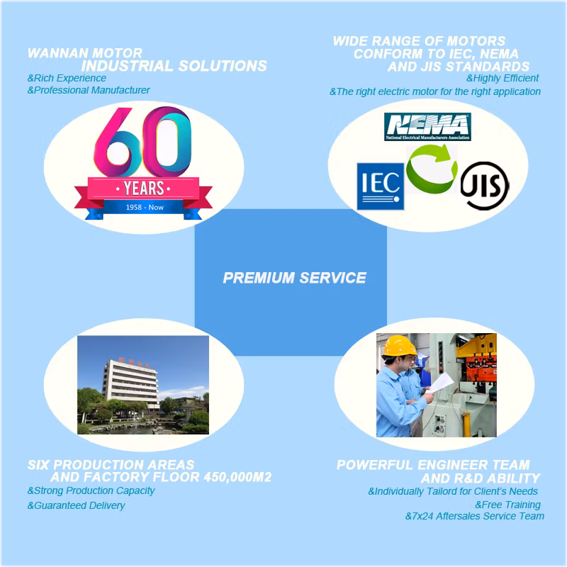 CSA Approved NEMA Premium B Design Stainless Steel 10 HP