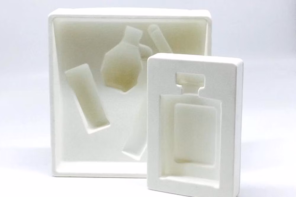 Plastic Blister Food Packaging Fruit Clamshell Packaging with Hinged Lid