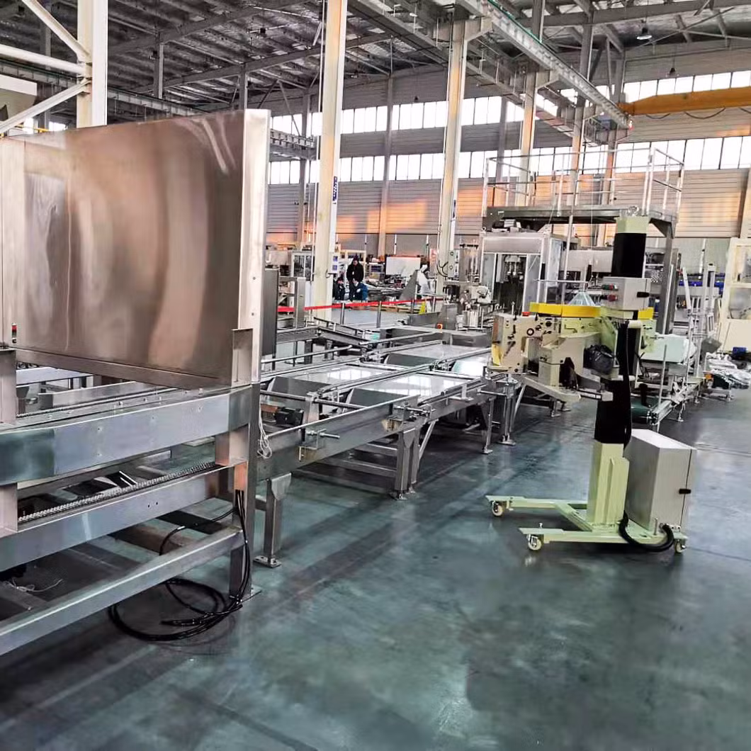 Corn Seed Heavy Bag Filling Line Automatic Packaging of Corn Seeds in 25kg Bags