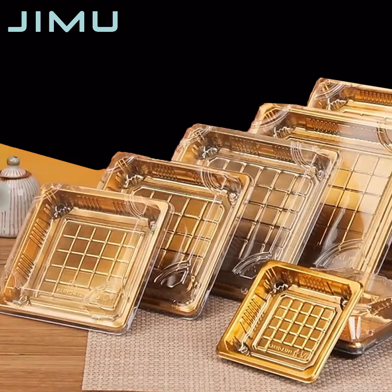 Professional Sterile Disposable Medication Insert Tray Plastic Tray Blister Packaging
