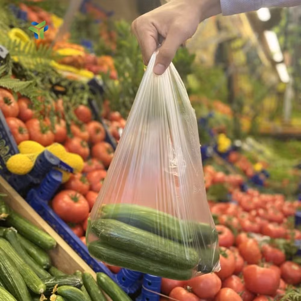 Safe Fresh Fish Packaging with Versatile Transparent Plastic Bags