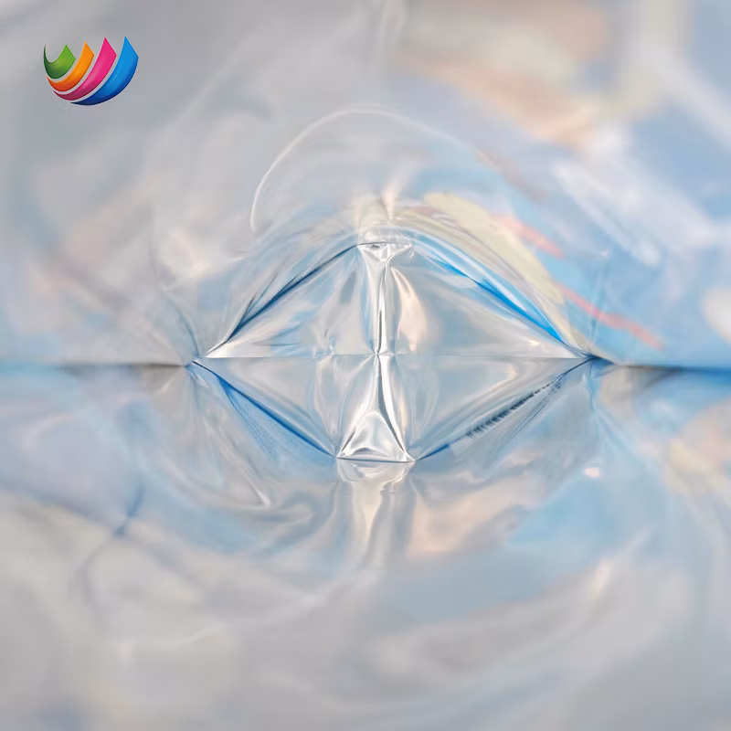 OEM Factory Customized UV Printing Ziplock Stand up Pouch Plastic Bag Snacks Packaging