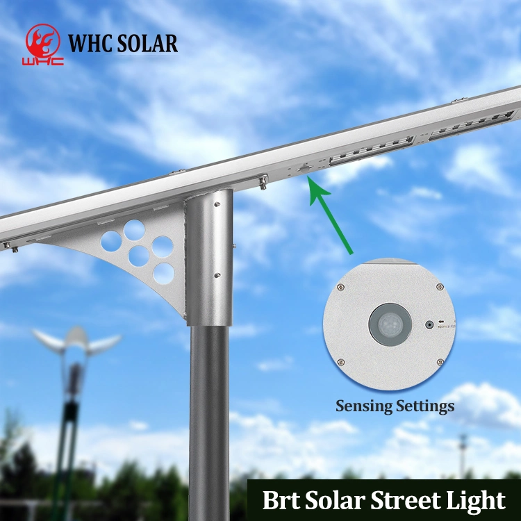 Whc 10W 40W 60W 120W 200W 300W Solar Courtyard Lamp with Linear Function BRT10W Solar Flood Light