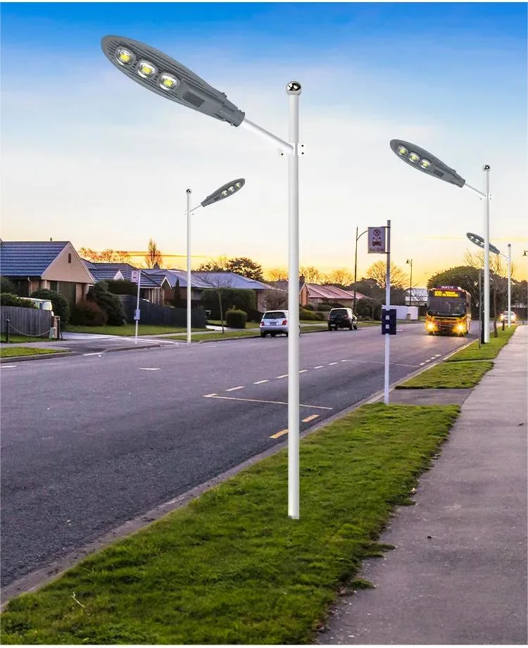 IP65 Garden Park Courtyard Lamp 250W LED COB Street Light 2 Years Warranty