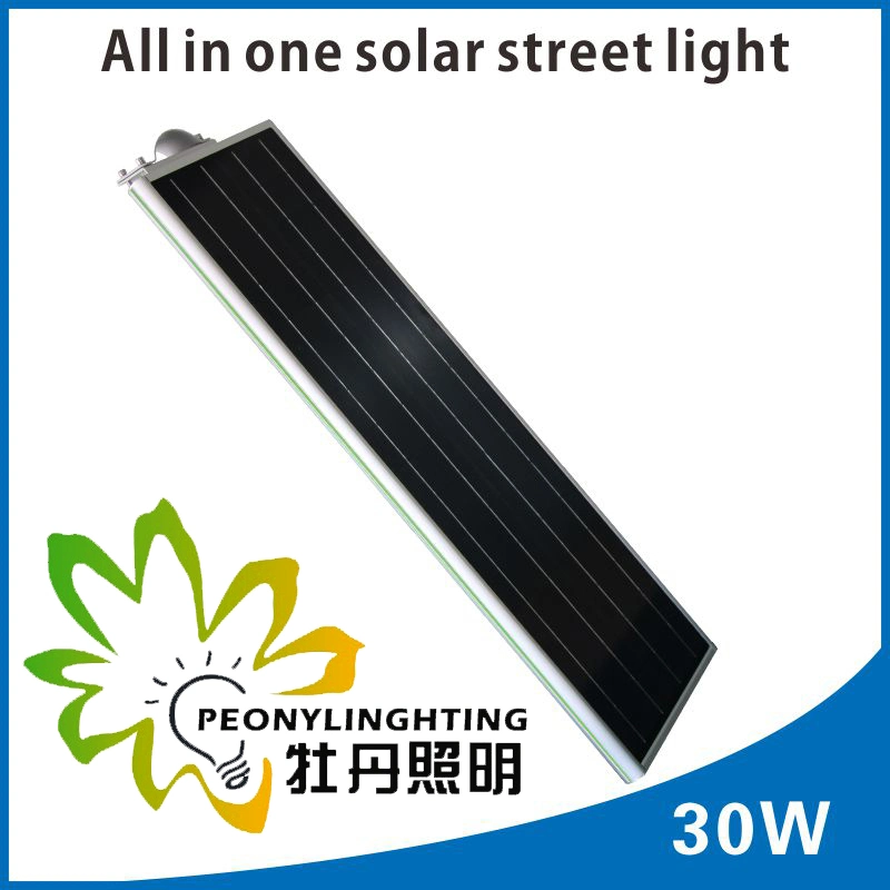 IP65 Factory Price! ! 30W Integrated All in One Solar LED Street Light! ! Human Body Infrared Induction! ! Outdoor Garden/Courtyard/Street/Highway/Lawn Lamp