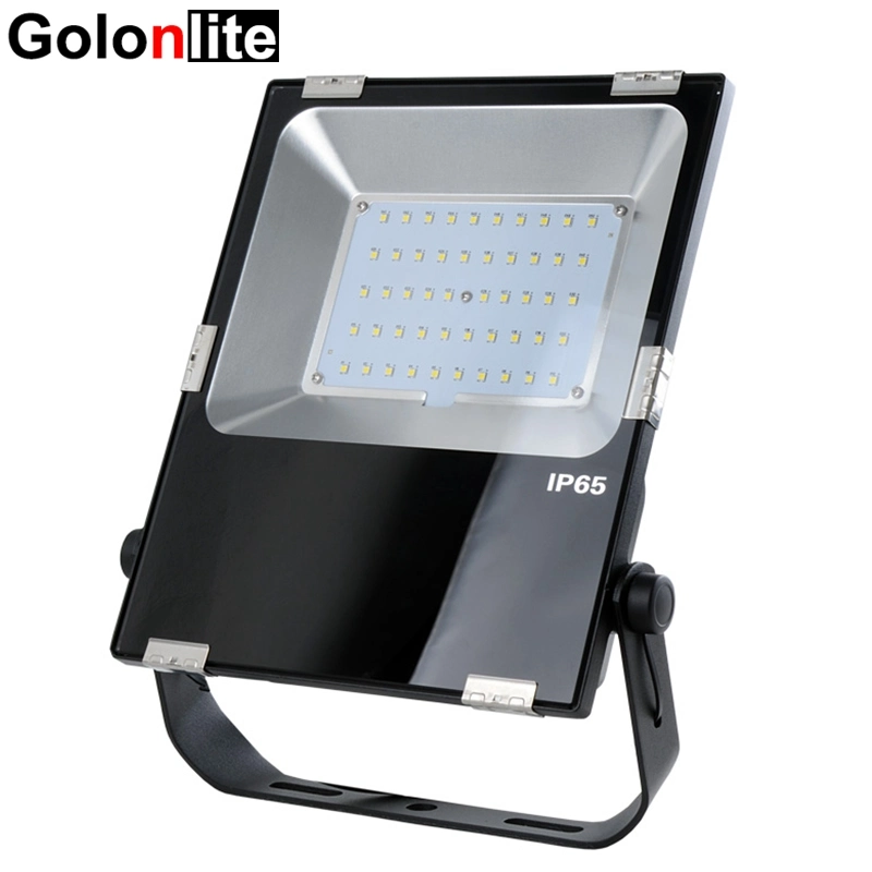 Garden Patio Ce 230V 220V 50W LED Flood Light Projector