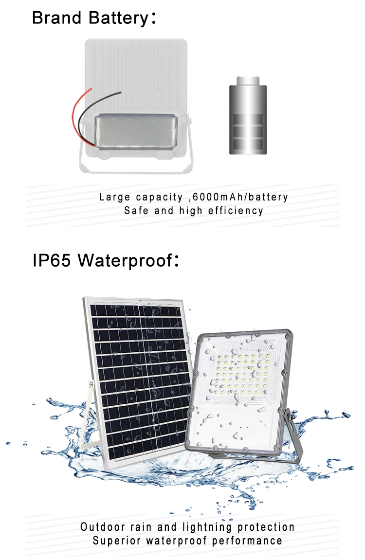 Decorative Garden Outdoor Rechargeable High Quality 60W Solar Security Light