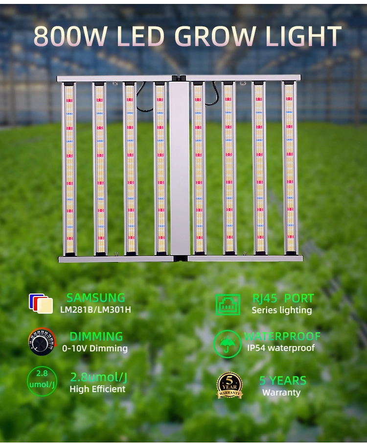 Indoor Garden Greenhouse IP65 Samsong Plant UV IR Plant Lamp Bar 800W Full Spectrum LED Grow Lights