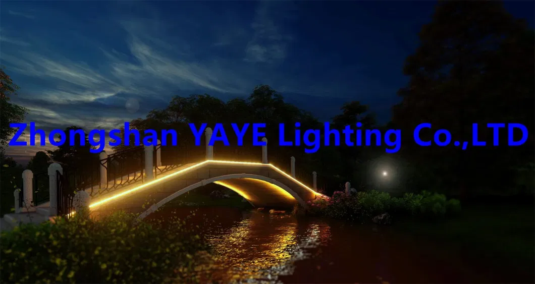 Yaye CE Solar Factory Supplier 50W/100W/200W Outdoor Waterproof IP65 RGB/Single Color LED Strip Garden Christmas Holiday Landscape Decorative Light Manufacturer