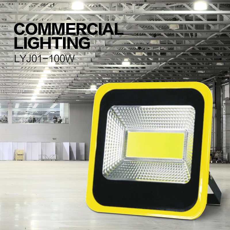 Driverless High Mast CE RoHS Construction Site Bvp161 LED Flood Light