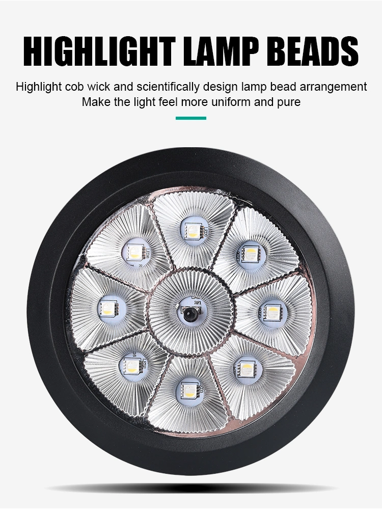 Terraces/Lawns/Courtyards RGB Color Change Landscape Lighting