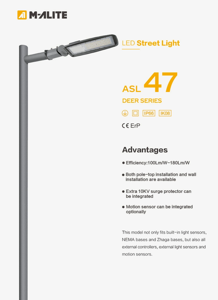 20W 30W 40W 60W 80W 100W OEM Integrated LED Street Garden Light High Quality Waterproof IP65 for Outdoor Road Parking