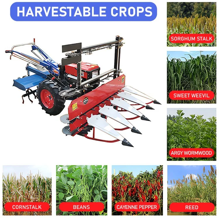 Sif Walking Corn Harvester Wheat Rice Reaper Grass Alfalfa Medicinal Herbs Harvester