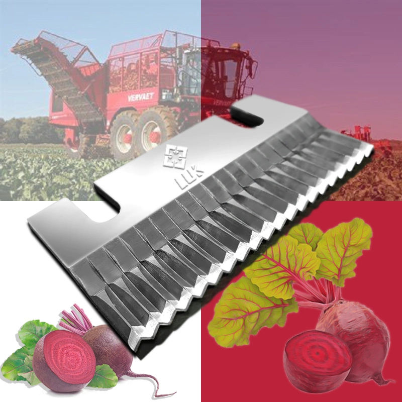 OEM Customized Beet Root Sugar Production of Drum Beet Slicer Knives