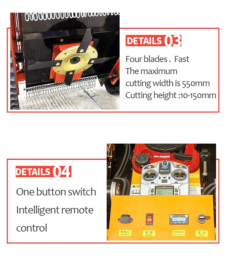 Factory Supply EPA Gasoline RC Mover Flail Grass Cutter