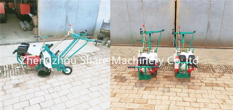 Artificial Lawn Turf Cutting Machine for Garden Green Gasoline Engine Grass SOD Cutter