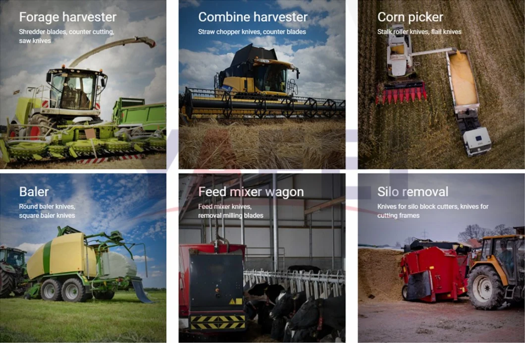 Combine Harvester Chopper Blades for Cut Hay Corn Straw