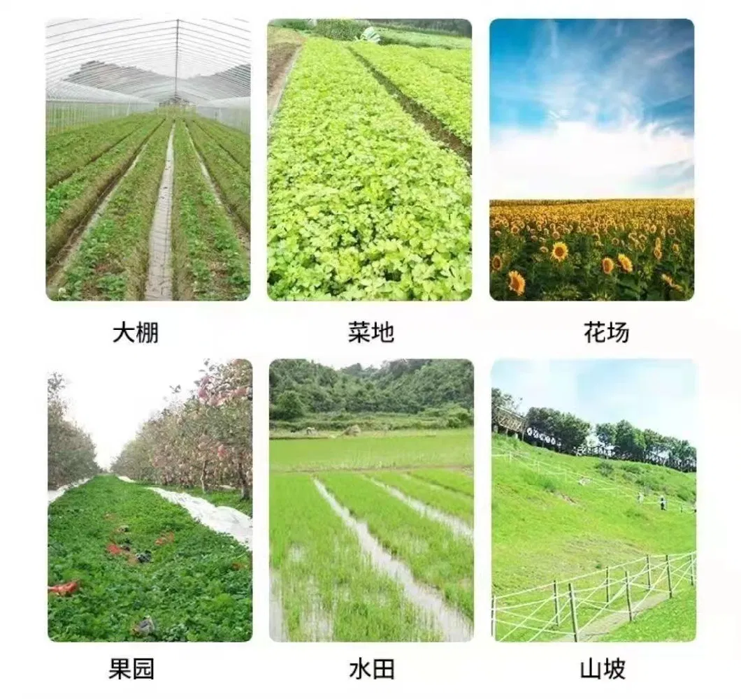 Rotary Cultivator Diesel Engine Petrol Mini Rototiller Farm Machinery Tractor Rear Tine Power Tiller for Agriculture