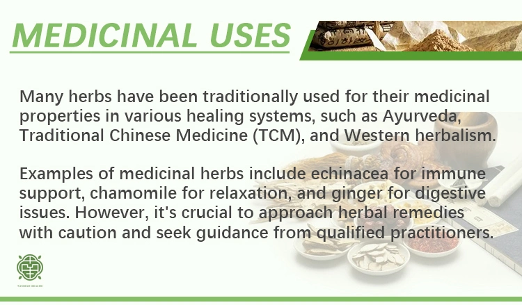 Nq Health Dan Zhu Ye Dried Light Bamboo Leaves Lophatherum Gracile for Tea