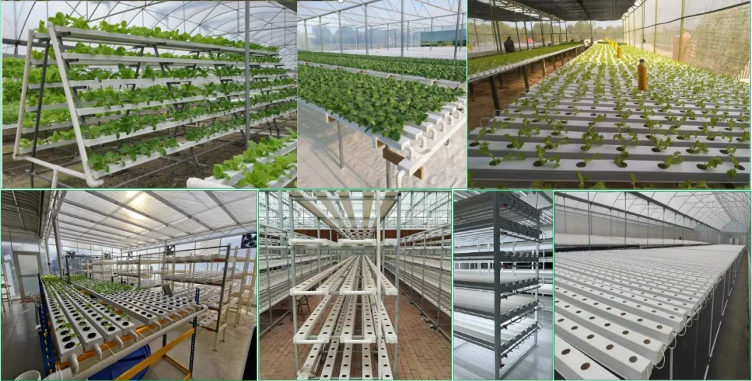 Agricultural Equipment Hydroponics Vertical Farming