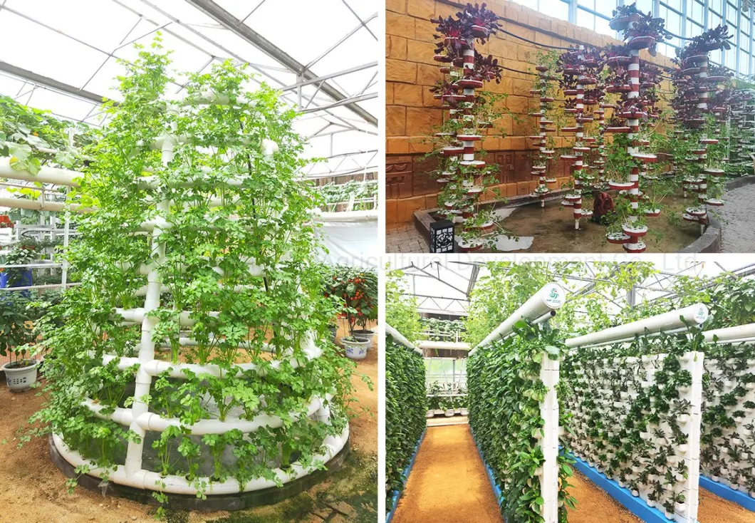 China Supplier Indoor Plant Grower Machine Hydroponics System with Pipe/Pump Intelligent LED