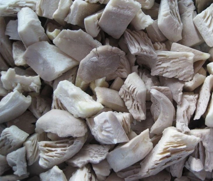 IQF Frozen Oyster Mushrooms Cut Dices Pieces