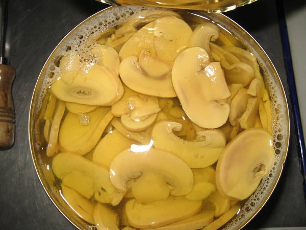 Canned Vegetable Canned Mushroom Pieces in Brine