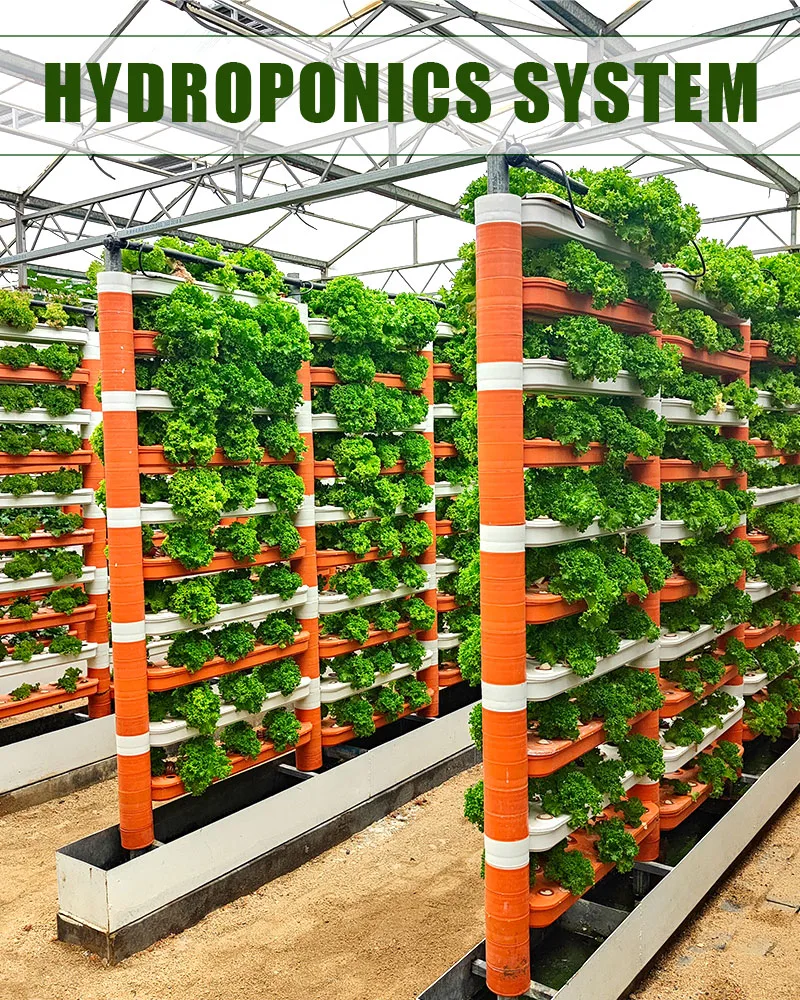 China Supplier Indoor Plant Grower Machine Hydroponics System with Pipe/Pump Intelligent LED