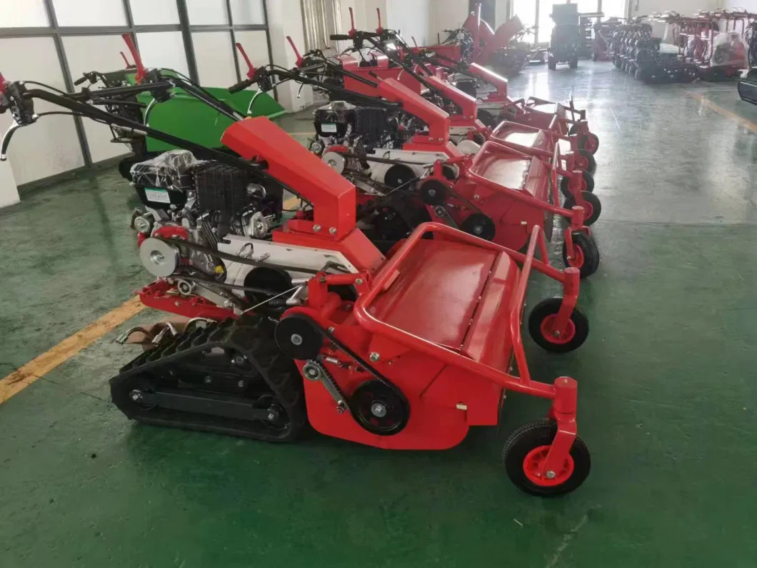 Lk0680ld Walking Behind Lawn Mower Gasoline Engine Machine Home Use for Garden and Farm Power Hand Tools