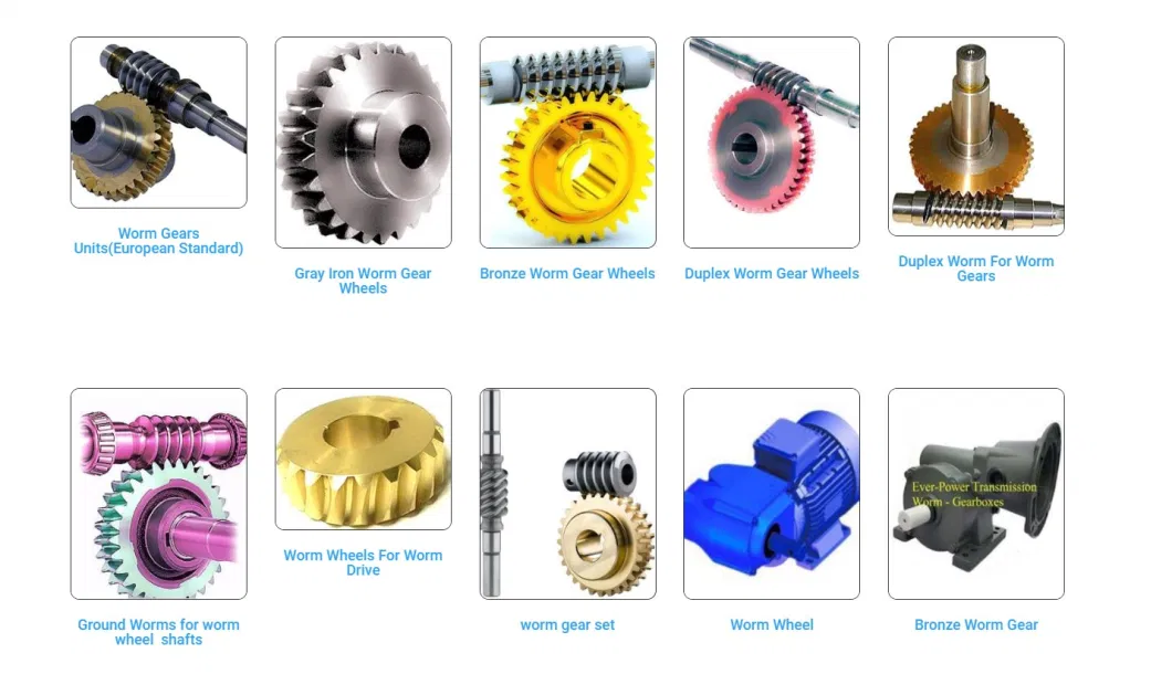 Components Enveloping Single Start Stainless Steel Custom Micro Brass Pinion Worm Gear Interchange with Martin Makishinko Worm Gear