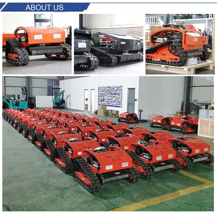 Hot Sale CE Certificated OEM Wholesale Landscaping Equipment Lawn Mowers for Cutting Grass