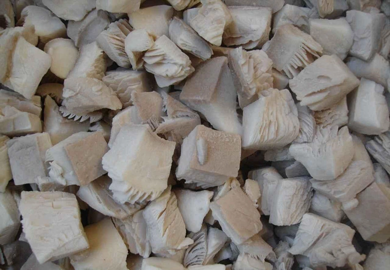 IQF Frozen Oyster Mushrooms Cut Dices Pieces