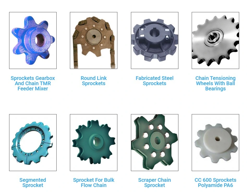 Components Enveloping Single Start Stainless Steel Custom Micro Brass Pinion Worm Gear Interchange with Martin Makishinko Worm Gear