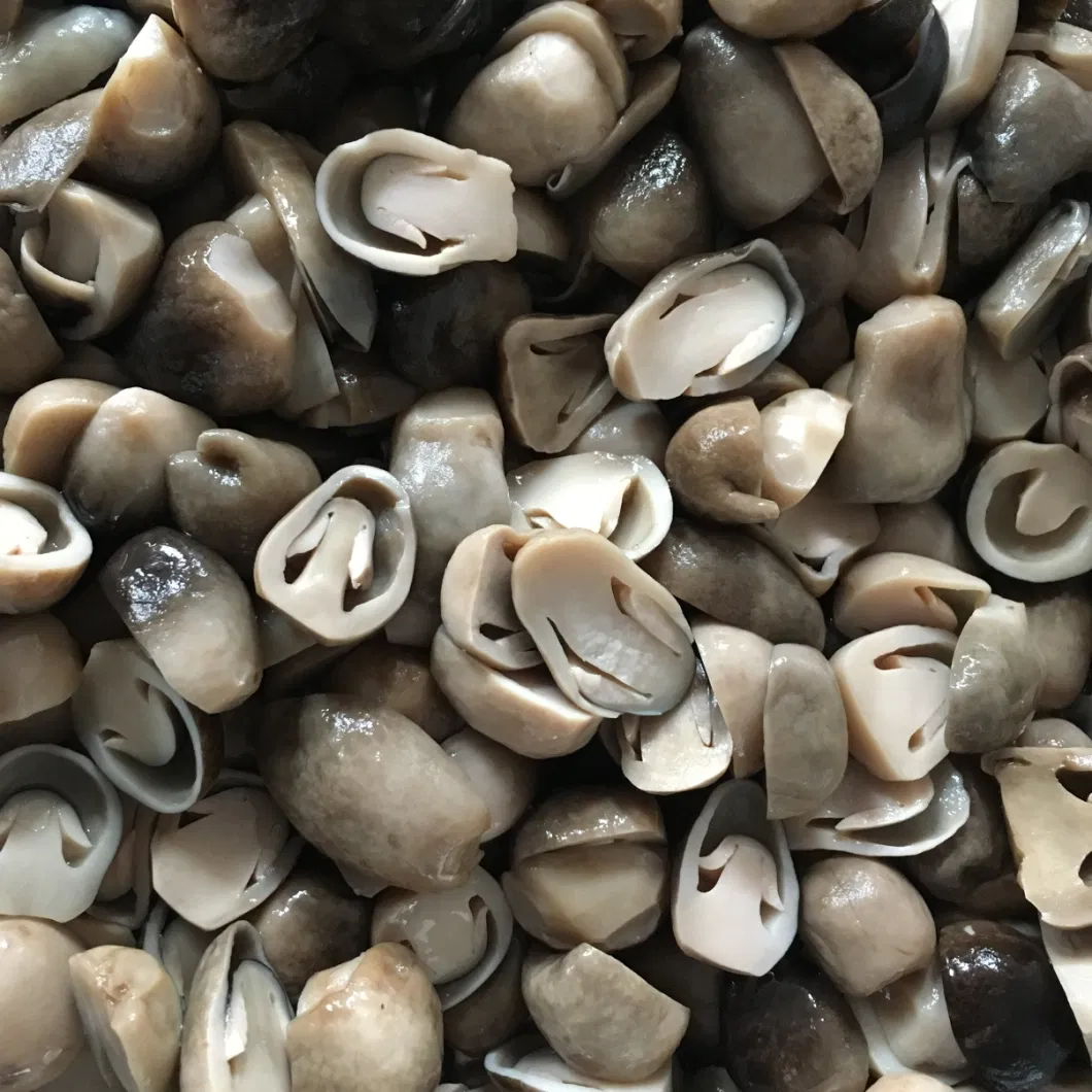 Canned Food Canned Straw Mushroom Pieces