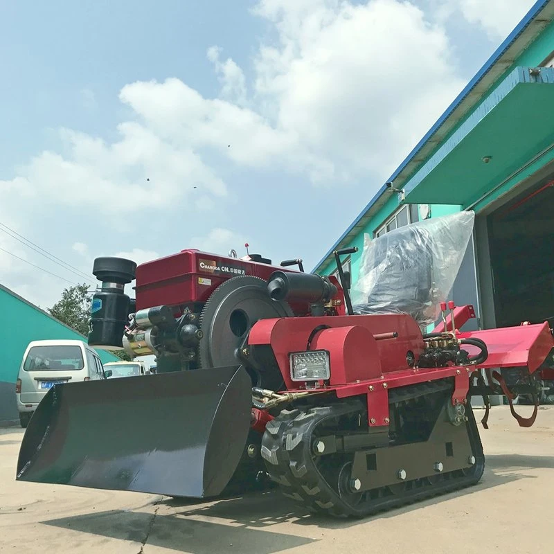 Rear Tine Rototiller Working Width 100cm Pto Tiller for Farm