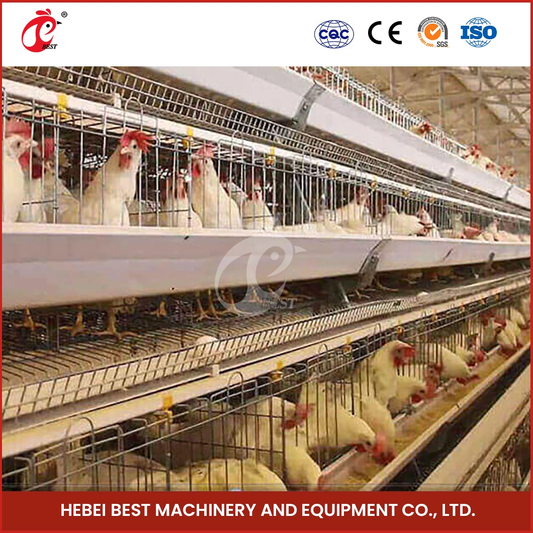 Bestchickencage a Type Layer Cage China Chicken Grower Layer Cage Factory OEM Custom Easily Clean Wooden Poultry Layer Cage Configuration Chicken Coop Wire