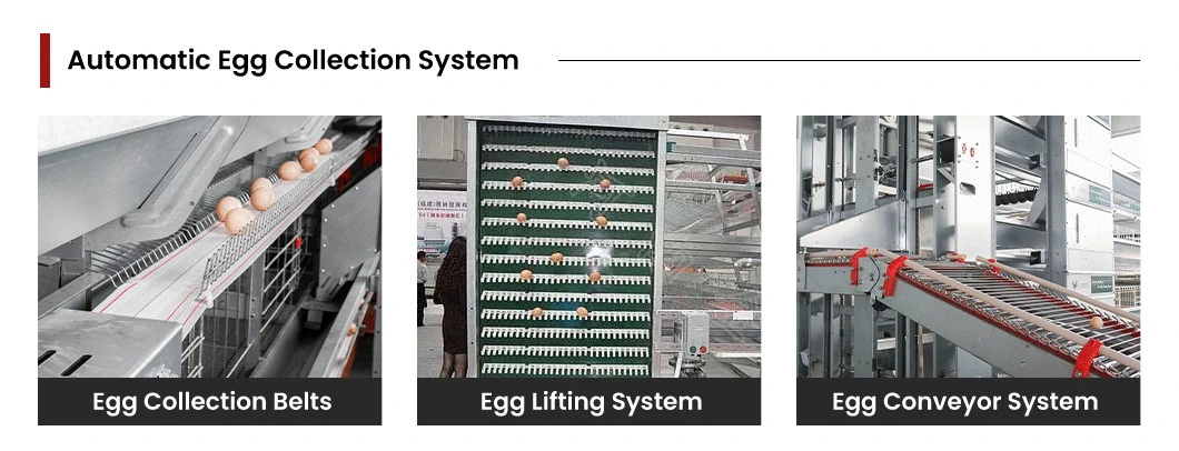 Bestchickencage a Type Layer Cage China Chicken Grower Layer Cage Factory OEM Custom Easily Clean Wooden Poultry Layer Cage Configuration Chicken Coop Wire