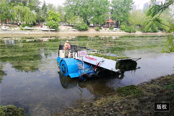 Flywheel Knife Type Water Hyacinth Cutting Ship