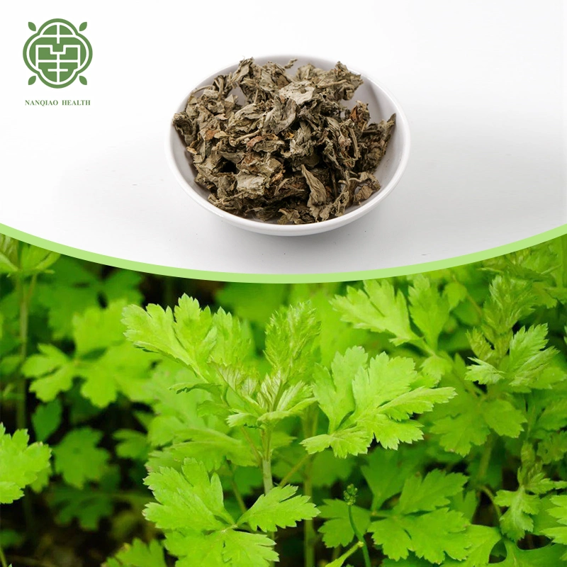 Nanqiao Low Price Mugwort Leaves Wholesale High Quality Dried Ai Ye