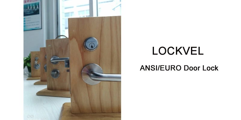 Front Entry Door Lever Handle Accessories Used with Euro Cylinder Lock