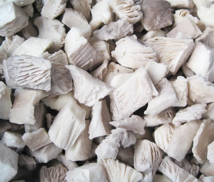 IQF Frozen Oyster Mushrooms Cut Dices Pieces