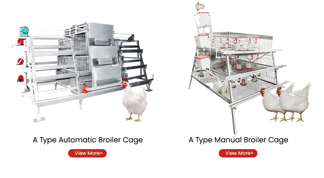 Bestchickencage China DIY Portable Chicken Coop Suppliers a Frame Automatic Broiler Cages High-Quality Excellent Column Performance Chicken Grower Cage