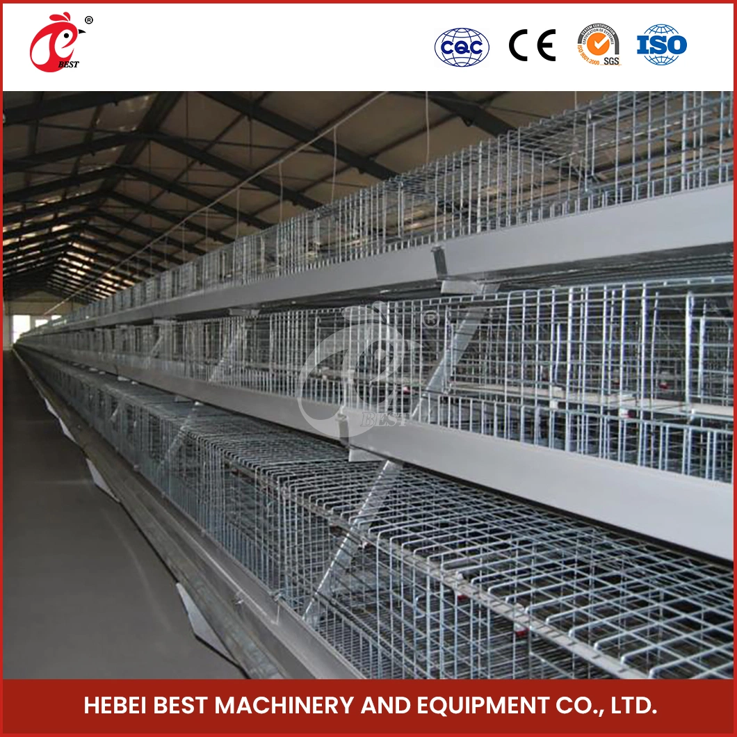 Bestchickencage China DIY Portable Chicken Coop Suppliers a Frame Automatic Broiler Cages High-Quality Excellent Column Performance Chicken Grower Cage