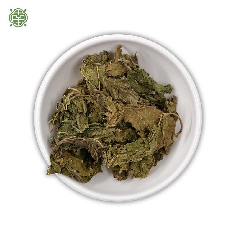 Nq High Quality Traditional Chinese Herbal Medicine Mulberry Leaf Herbal Dried Mulberry Leaves Tea