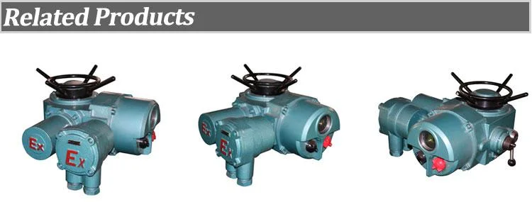 300nm on-off Type Intelligent Rotary Multi Turn Electric Drives Hz/Xy30 Hz/Zy30 Hzd/Xy30