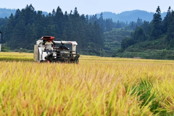 OEM Application of Load-Bearing Wheels on World Combine Harvesters