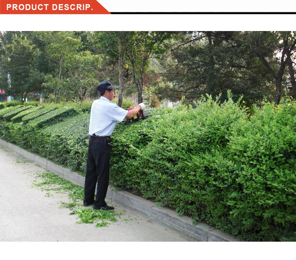 700mm Length Double Edge Blade Cordless Hedge Trimmer with CE