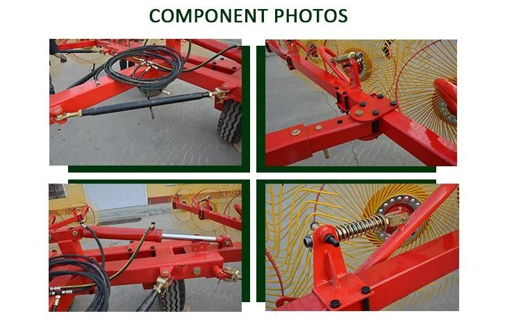 Grassland Enciphered Teeth Double-Sided 9lz Series Hay Rake Agricultural Wheel Hay Rake