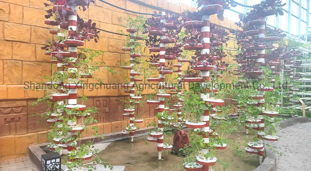 China Supplier Indoor Plant Grower Machine Hydroponics System with Pipe/Pump Intelligent LED